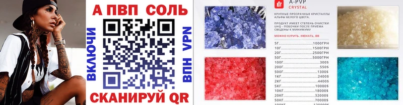 APVP СК  Фрязино 