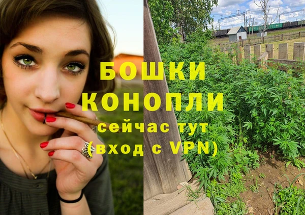 дурь Алексеевка