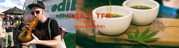 СК Алзамай
