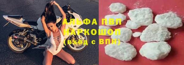 PSILOCYBIN Киренск