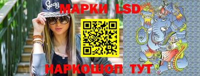альфа пвп Новодвинск
