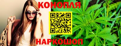 альфа пвп Новодвинск