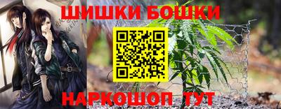 альфа пвп Новодвинск