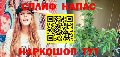 альфа пвп Новодвинск
