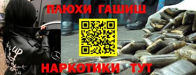 альфа пвп Новодвинск