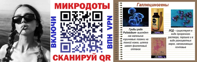 цены Фрязино Галлюциногенные грибы Psilocybe
