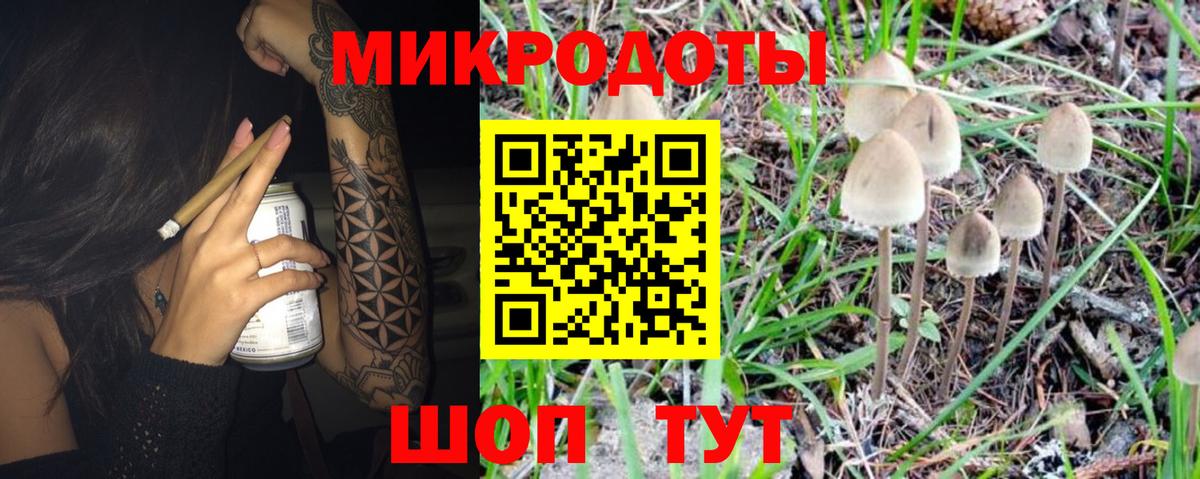 Псилоцибиновые грибы Psilocybine cubensis  Псилоцибиновые грибы GOLDEN TEACHER  Фрязино  Вход с VPN 